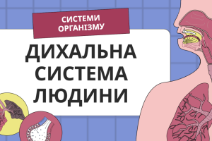 Знімок екрана 2025-10-22 о 13.52.58