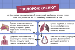 Знімок екрана 2025-10-22 о 13.53.21