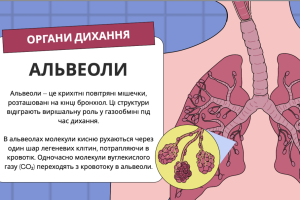 Знімок екрана 2025-10-22 о 13.54.34