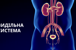 Знімок екрана 2025-10-22 о 13.55.10