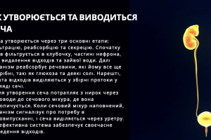 Знімок екрана 2025-10-22 о 13.55.47
