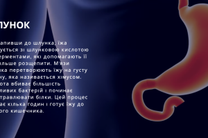 Знімок екрана 2025-10-22 о 13.58.53