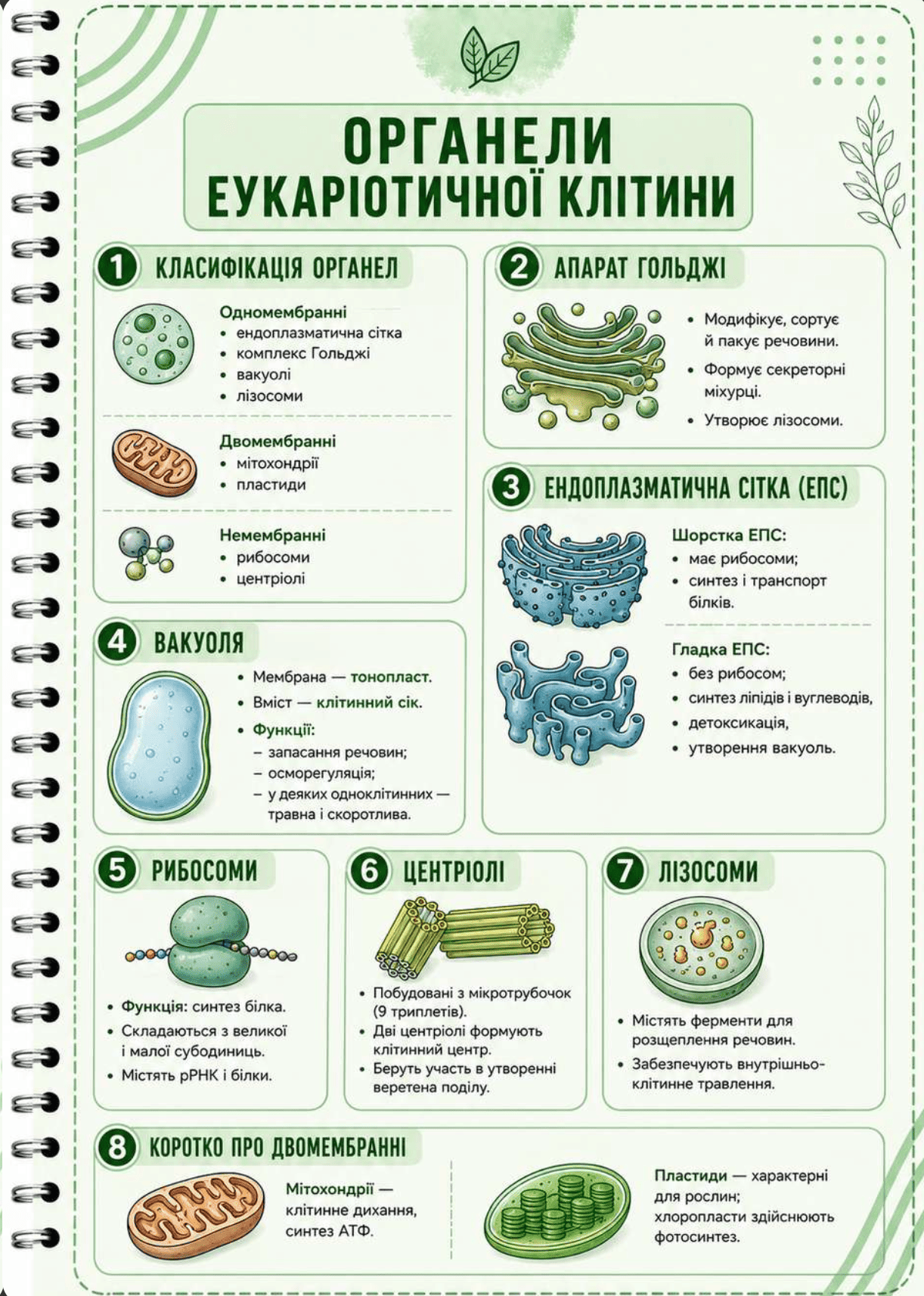 Знімок екрана 2026-07-27 о 14.16.52 Знімок екрана 2026-07-27 о 14.16.52